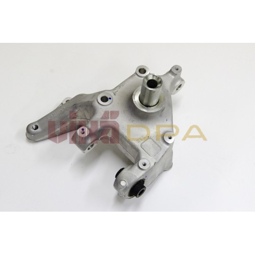 кулак задний левый