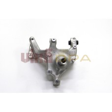 кулак задний правый